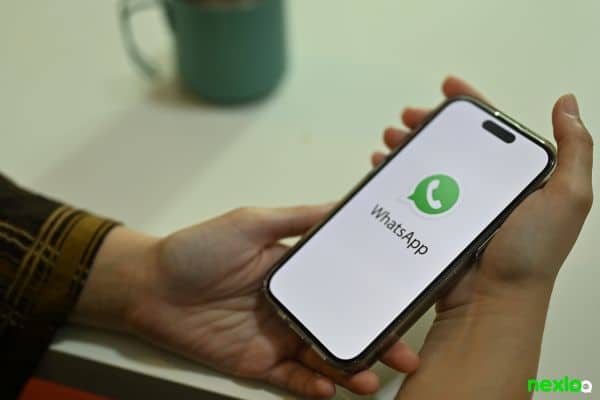 whatsapp - whatsapp business