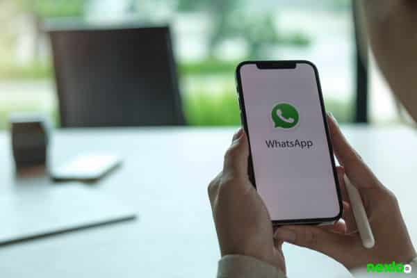 whatsapp - whatsapp business (12)