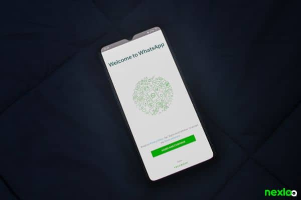 whatsapp - whatsapp business (16)